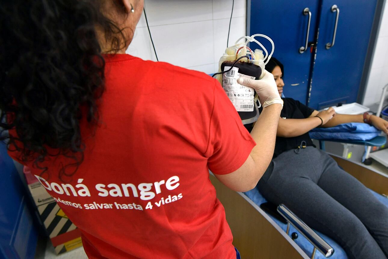 Donar sangre en Mendoza: tras una caída a comienzos de año, subió la cantidad de voluntarios, aunque aún falta. Foto: Orlando Pelichotti / Los Andes