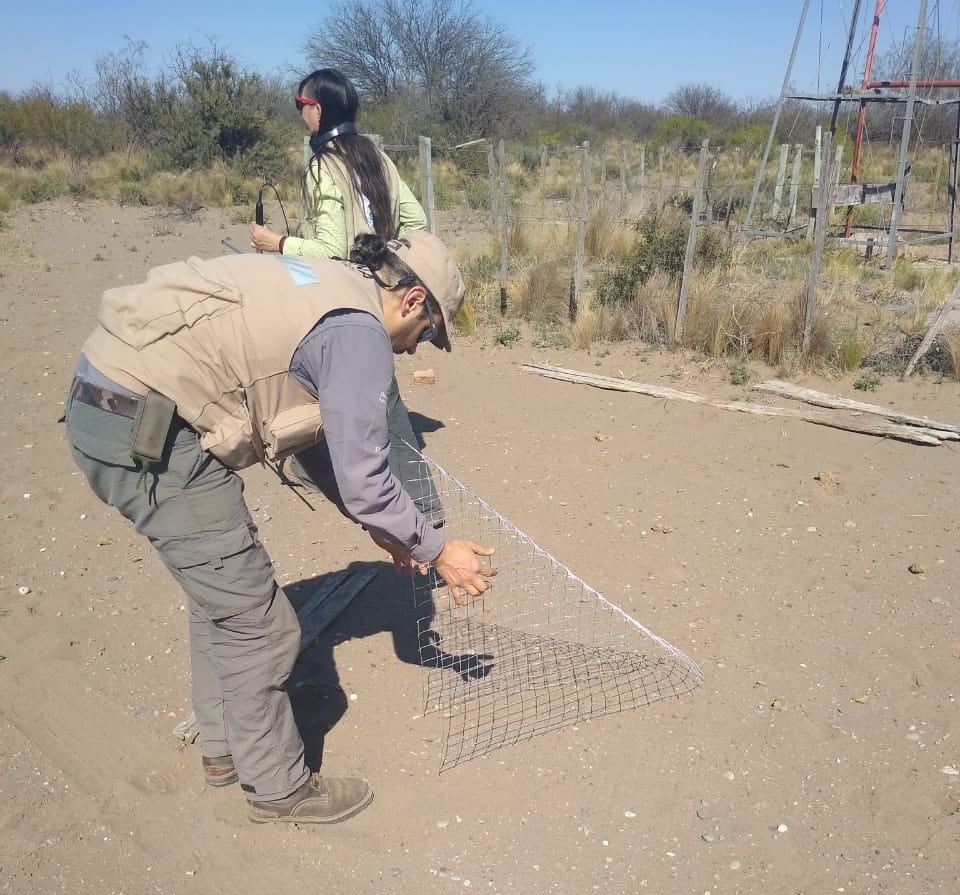 Los productores mendocinos deberán colocar rampas de escape en sus reservorios de agua para evitar el ahogamiento de especies silvestres. Foto: Dirección de Recursos Naturales y Renovables.