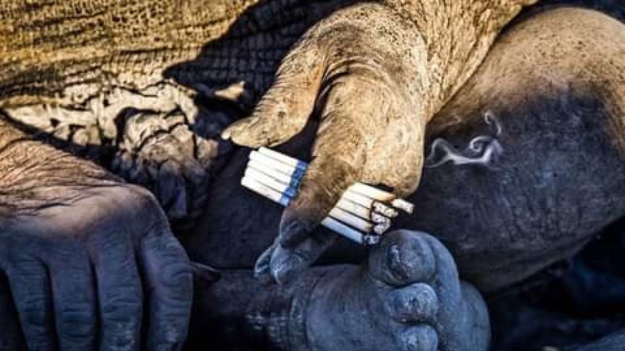 Murió el “Hombre más Sucio del Mundo” a sus 94 años: no se bañó en medio siglo.