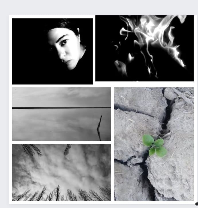 La muestra fotográfica de artistas argentinos en España.