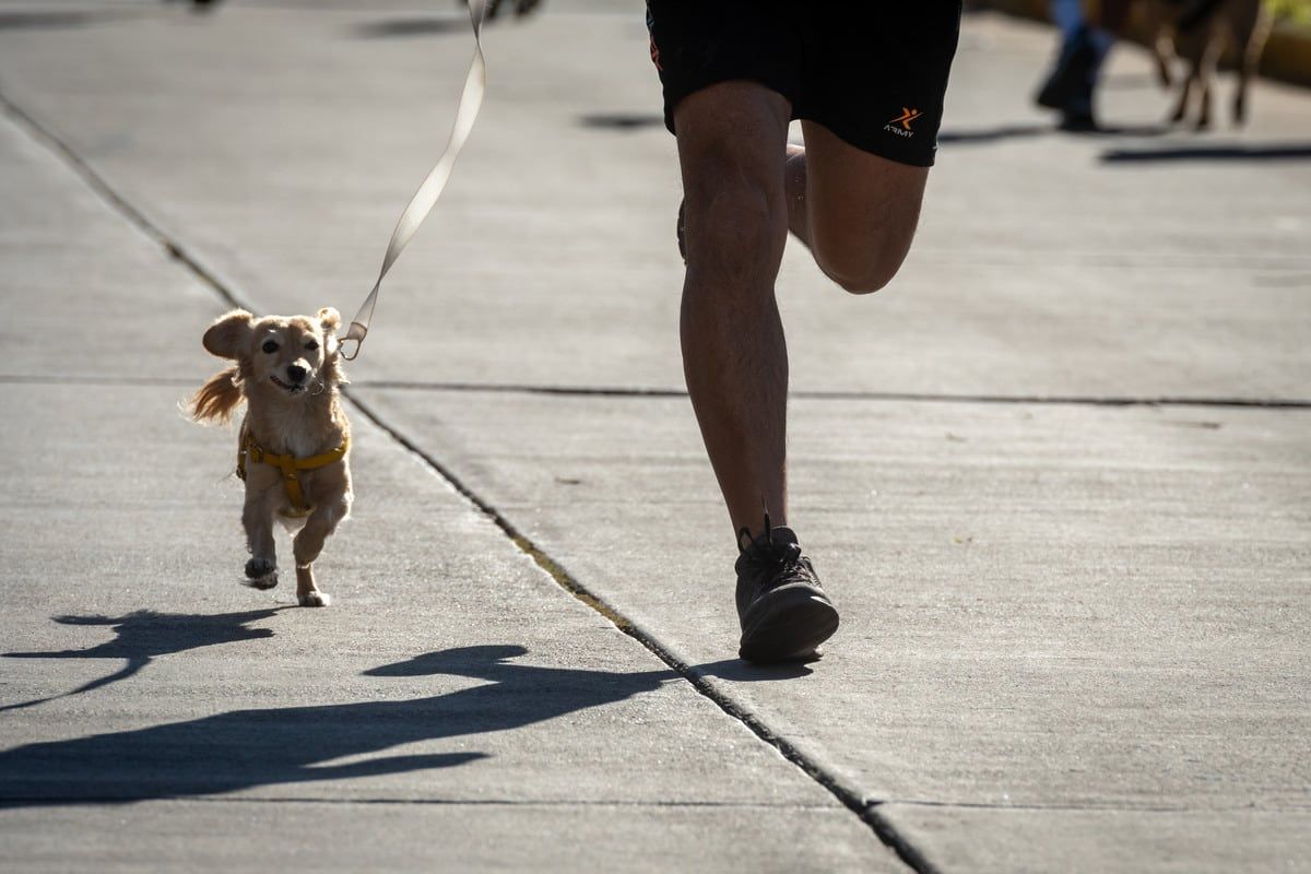 Maratón Animal Ciudad de Mendoza 2022 Cientos de mendocinas y mendocinos disfrutarán junto a sus amigos no humanos del evento. Esta maratón propone un cambio de paradigma sobre la forma en que nombramos y nos relacionamos con el perro o gato, dejando atrás el término de mascota para avanzar con el término “animales de compañía”  Foto: Ignacio Blanco / Los Andes 
