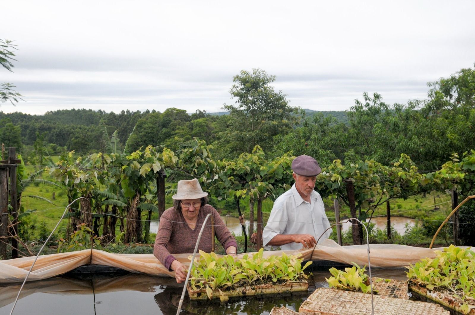 Avanza el Programa de Incremento Exportador que lanzó Massa. Foto: Gentileza
