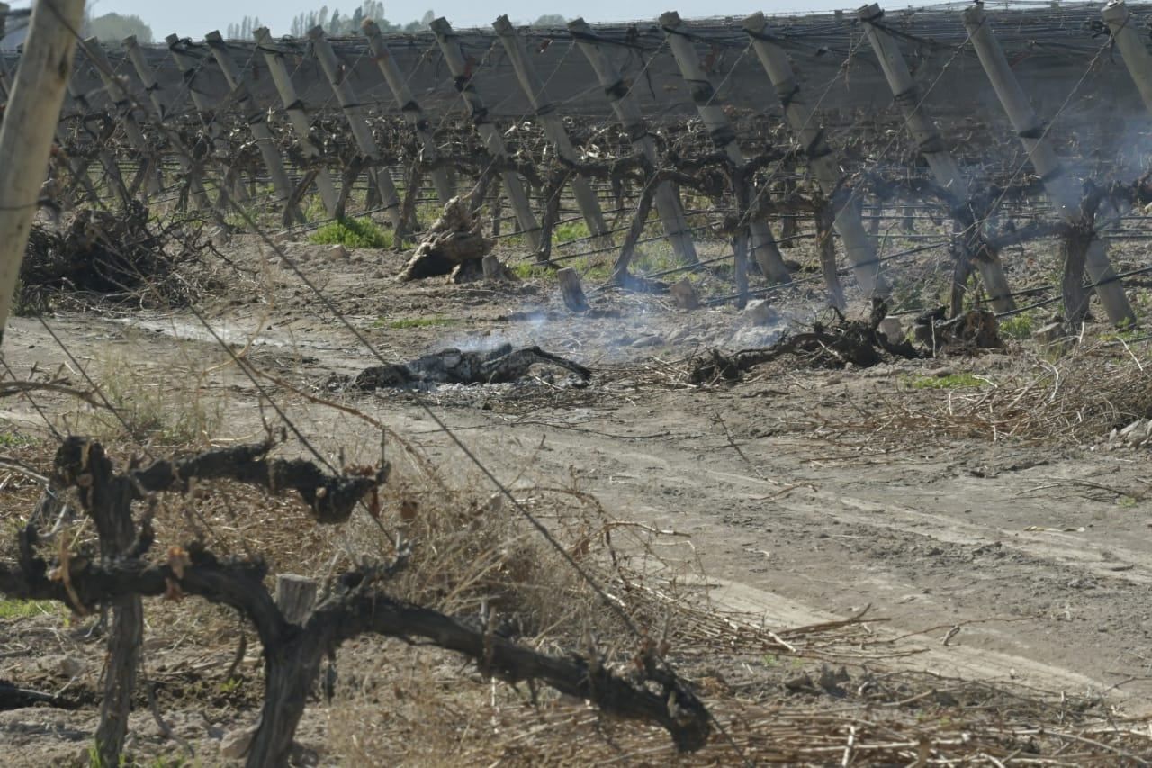 Foto: Orlndo Pelichotti