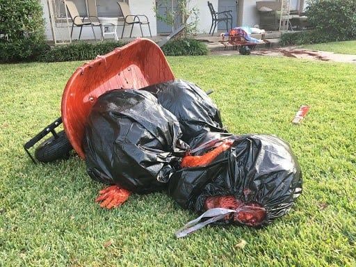 Un artista decoró su casa como una escena de masacre por Halloween. Foto Dallas Observer.