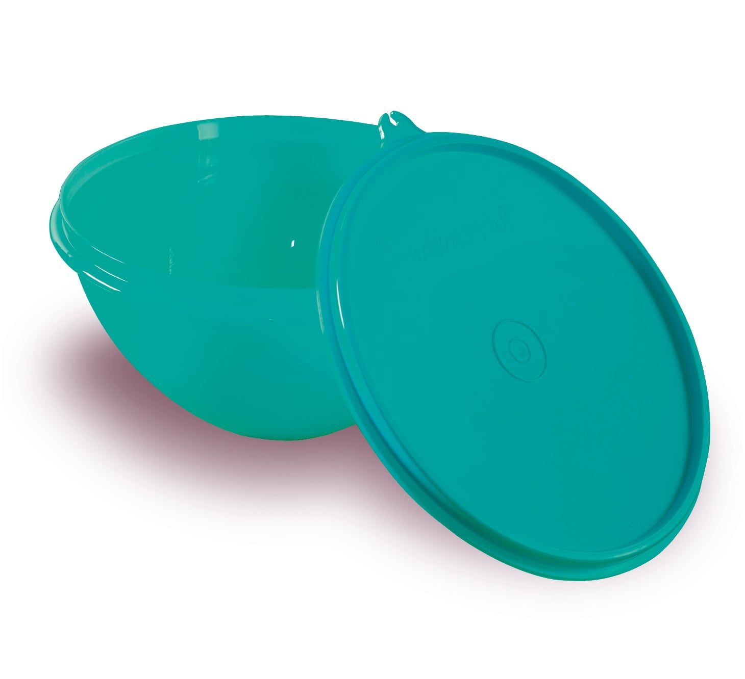 Ya está disponible la entre número 2, Bocaditos de carne + Bowl Maravilloso Turquesa 1l