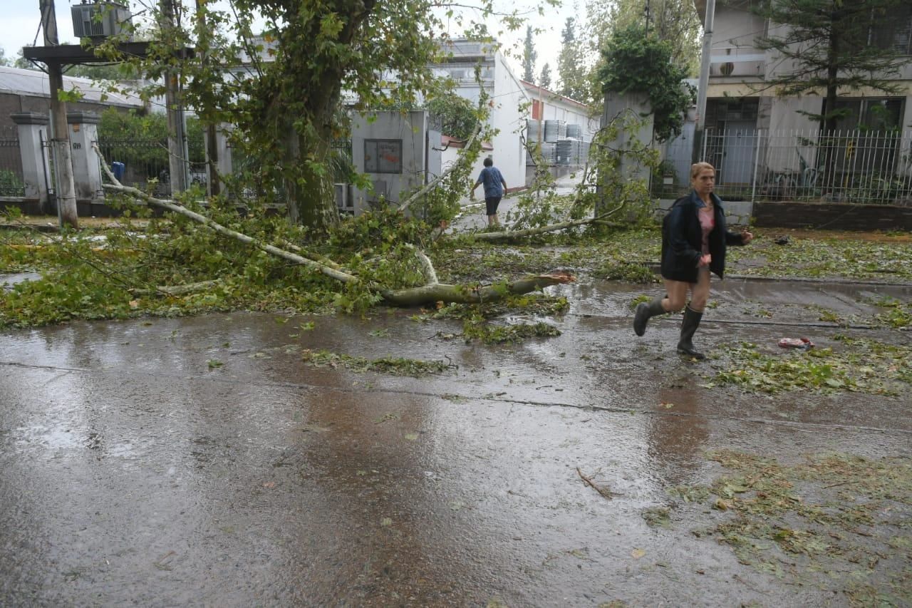 La fuerte tormenta que afectó al Gran Mendoza dejó daños en distintos puntos del área metropolitana. Ignacio Blanco.