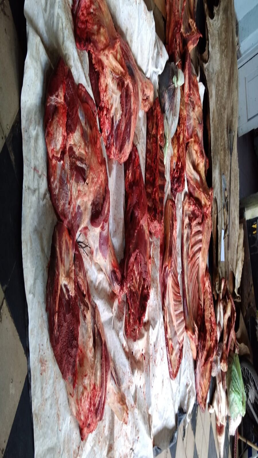 Robo de ganado en Valle de Uco - Fuentes policiales