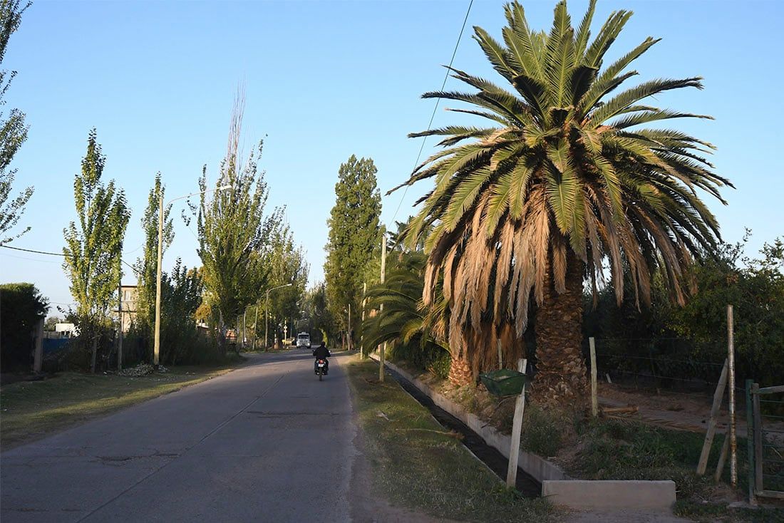 Lugares mendocinos, carril Franklin Villanueva de Lunlunta en el departamento de Maipú. Foto: José Gutiérrez / Los Andes
