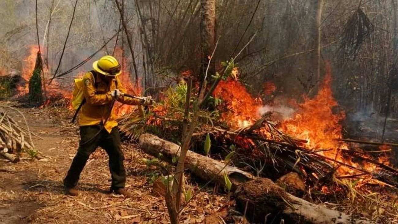 Los focos de calor fueron provocados por la quema de campos de cultivo, que en Bolivia recibe el nombre de “chaqueo”. Esta es una práctica ancestral que mejora la condición de la tierra para el sembrado. Foto: redacción / El Universo 