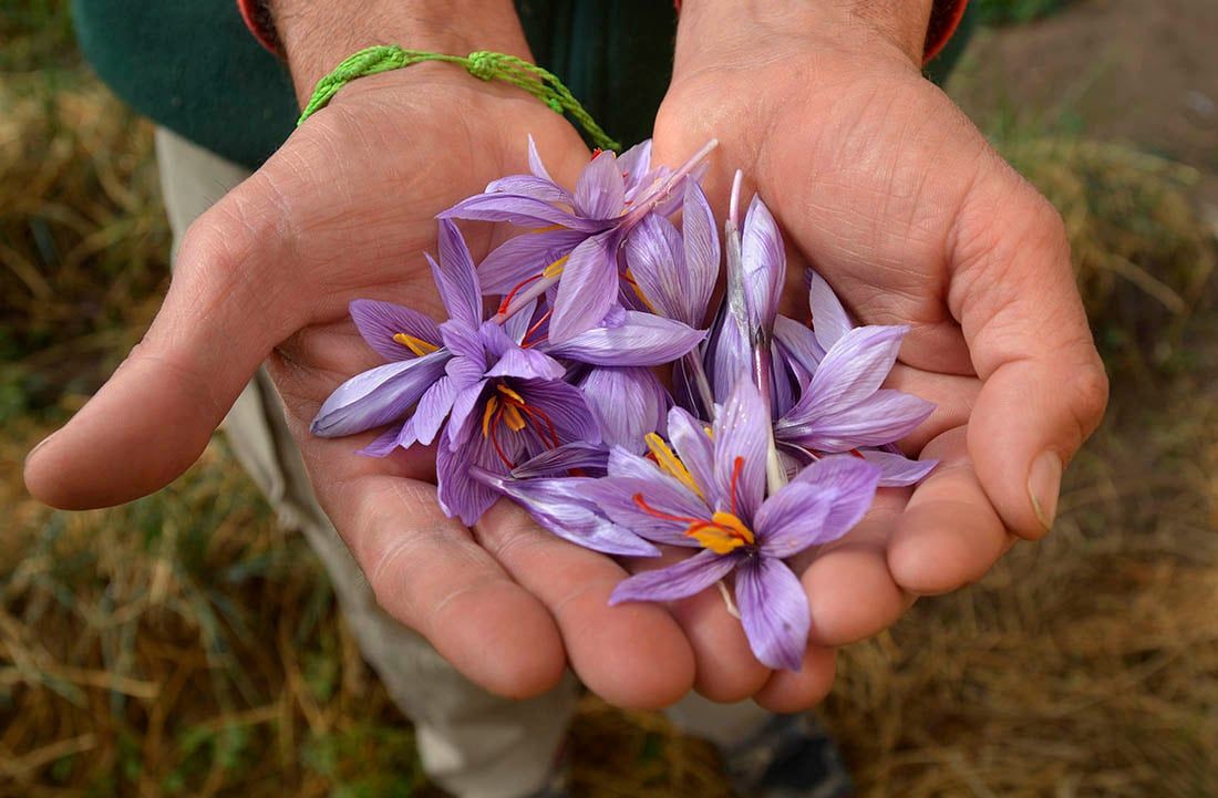 Foto: Orlando Pelichotti / Los Andes