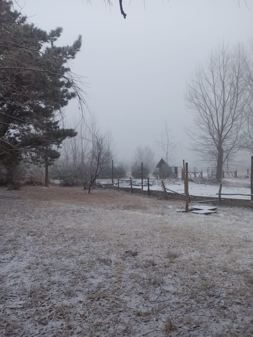Caída de nieve en el Manzano Histórico en Tunuyán.