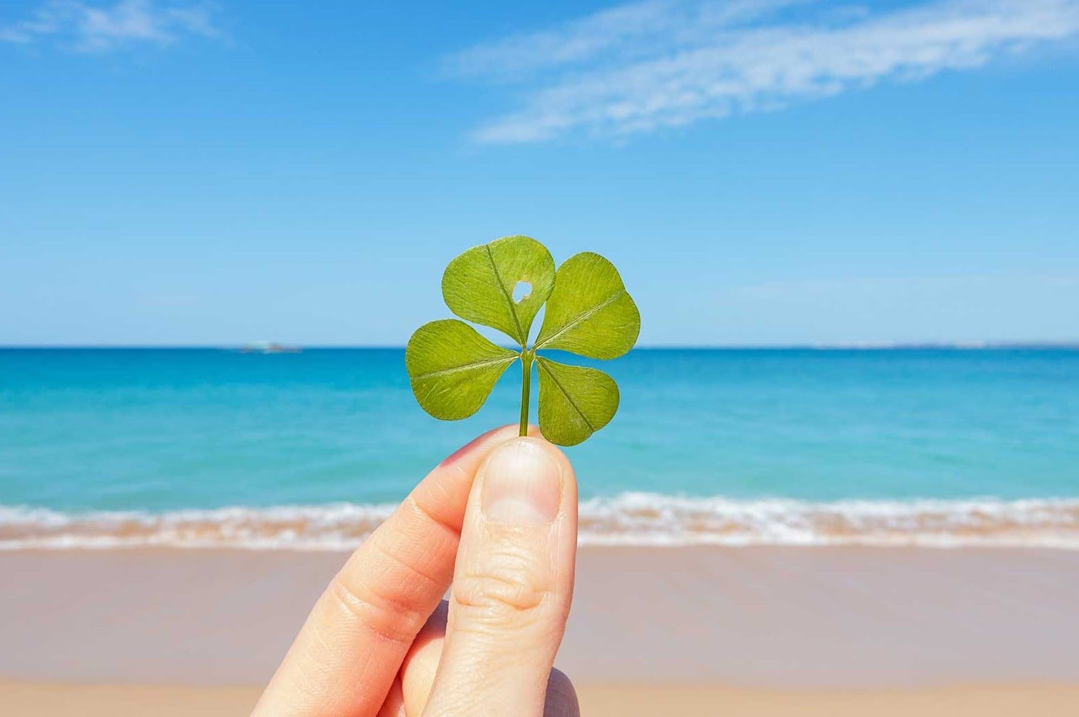 Signos del zodíaco que tendrán buena suerte (Imagen ilustrativa / Web)