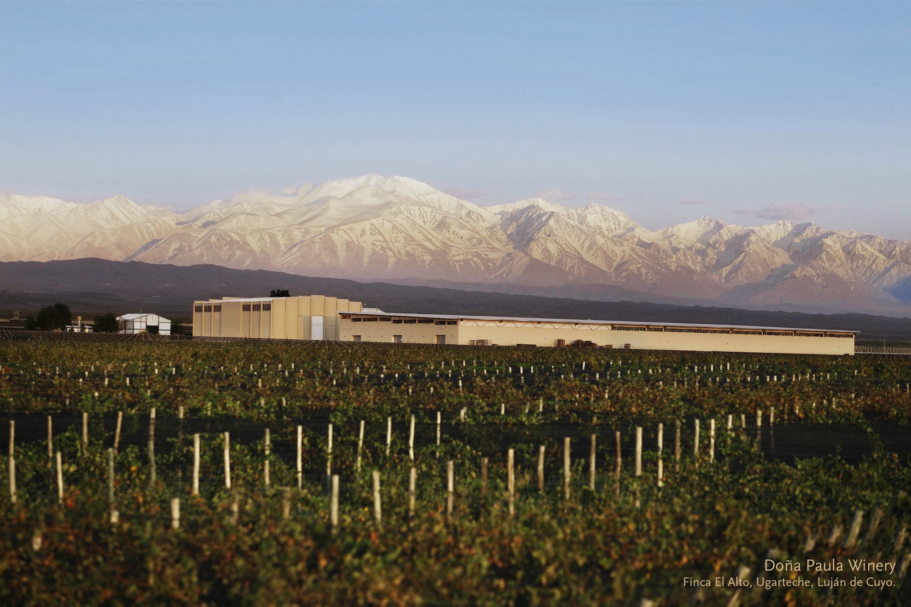 Bodega Doña Paula pertenece a Viña Santa Rita, uno de los grandes competidores de Chile. - Gentileza