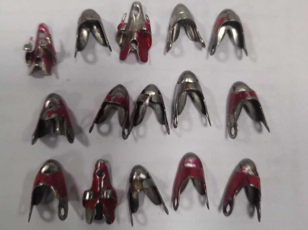 Desbarataron riñas de gallos en Lavalle: dos detenidos y más de 30 aves recuperadas. | Foto: Ministerio de Seguridad y Justicia