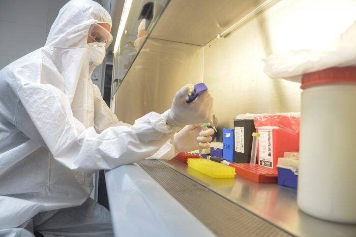 El ministerio de Sanidad de España confirmó este sábado la segunda muerte a causa de la viruela del mono en el país.