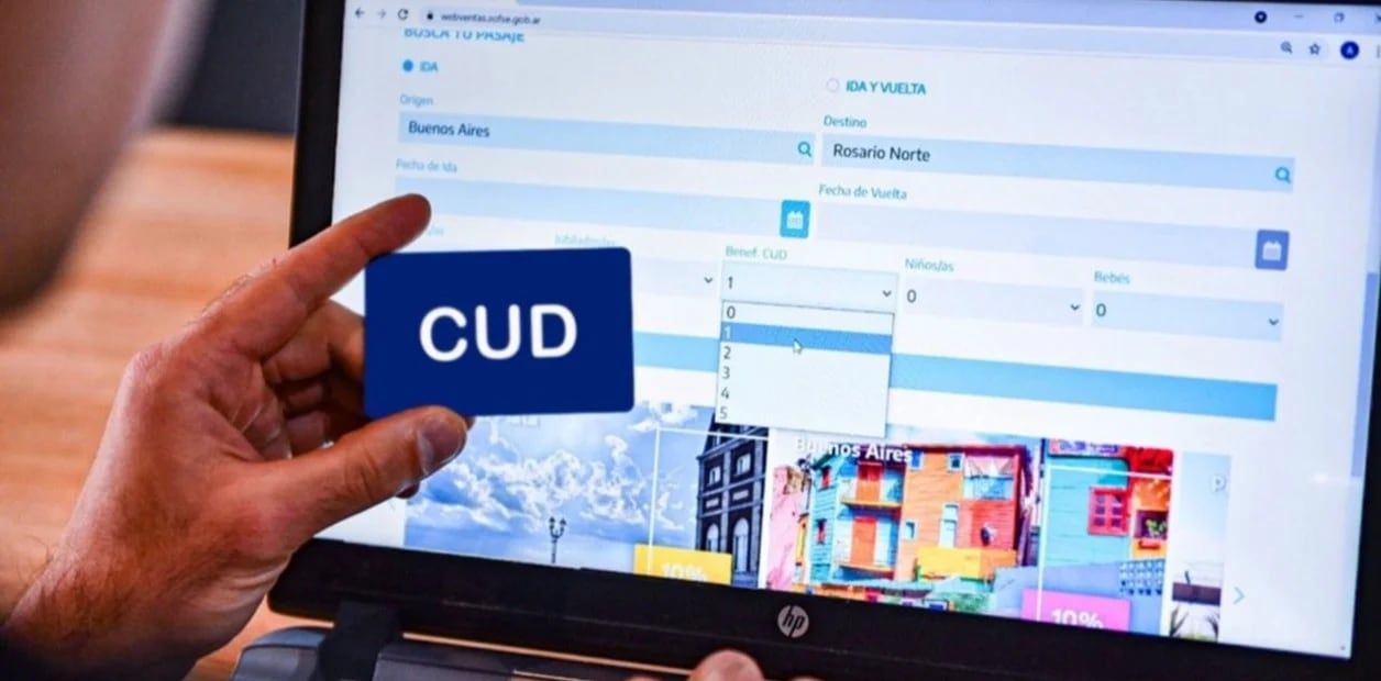 El Certificado Único por Discapacidad se puede tramitar online. Foto: Clarín