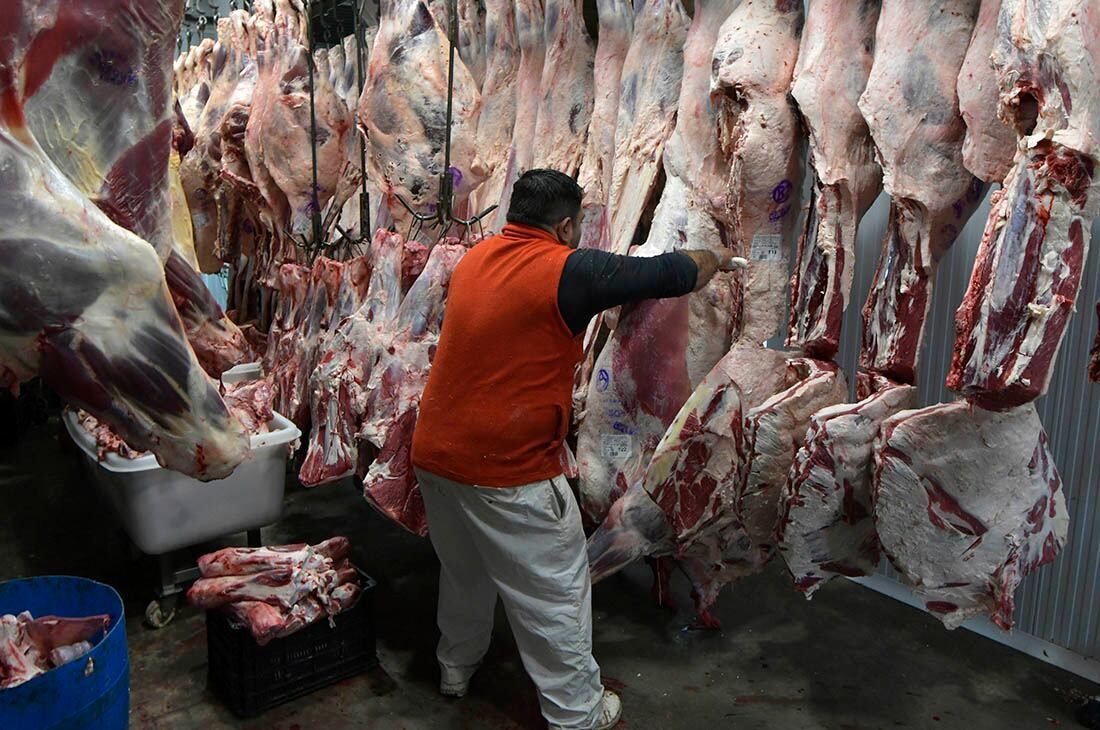 Se detuvo la comercialización de todas las categorías de hacienda vacuna desde las 0 horas del jueves 20 de mayo hasta las 24 horas del viernes 28 de mayo
Foto Orlando Pelichotti / Los Andes