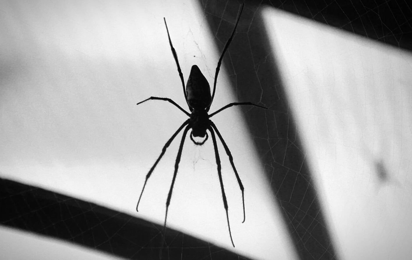 Lunes 18: cuál es el signo del zodíaco con más mala suerte - Imagen ilustrativa / Web