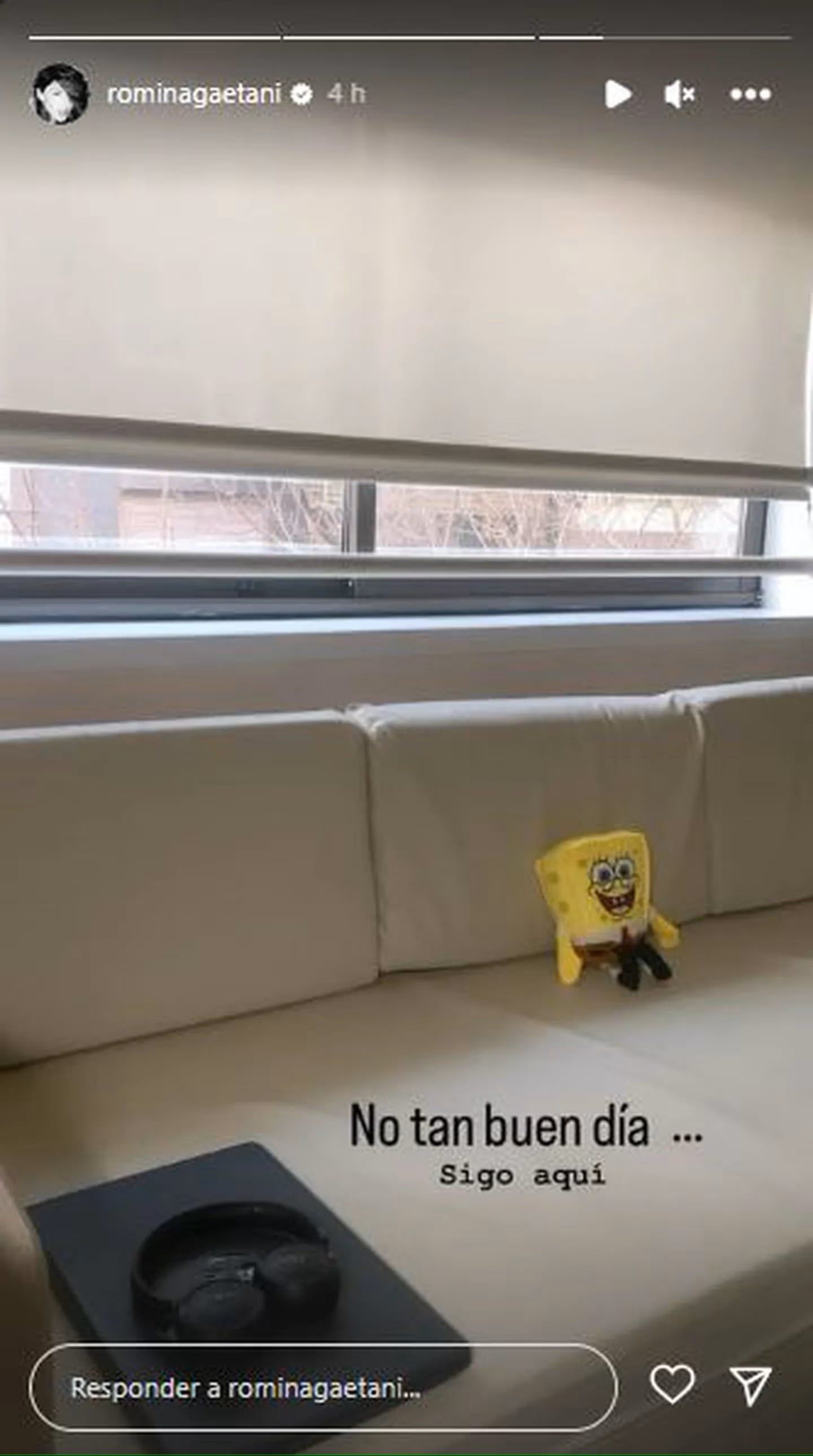 La historia de Romina Gaetani durante su internación.