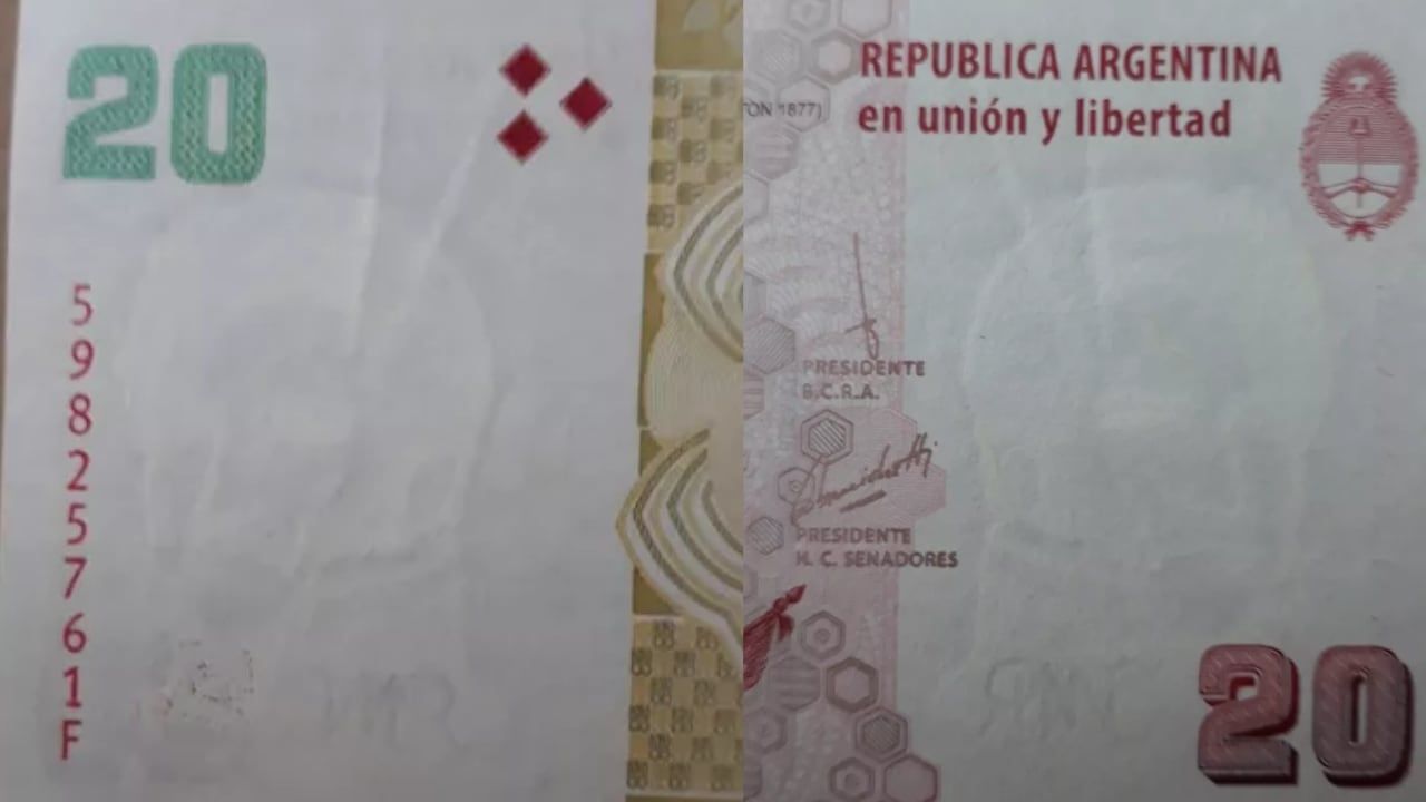 "La marca de agua a simple vista presenta relieves coincidentes con las líneas de la figura de Rosas". Foto: Captura.