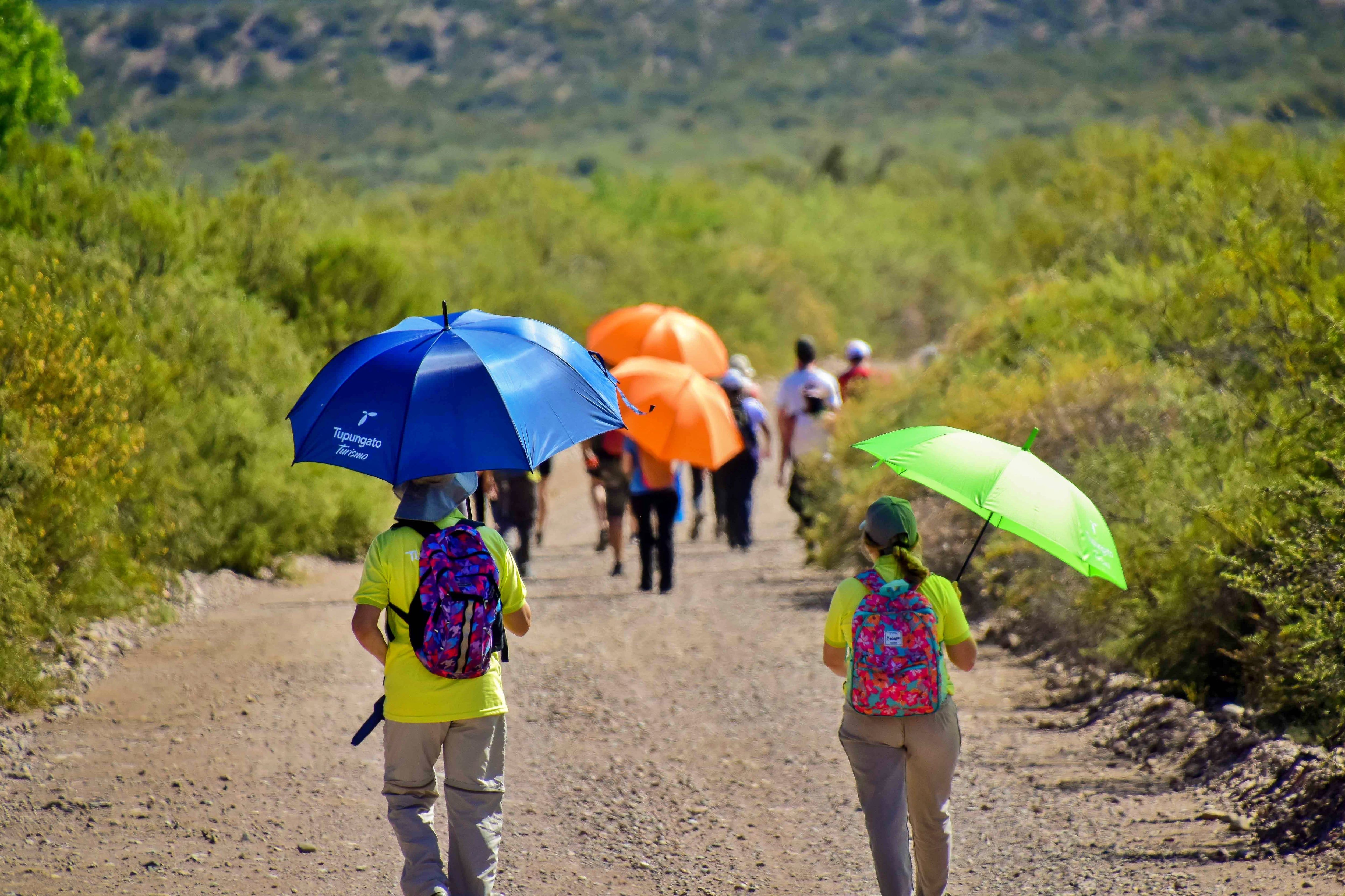 En Tupungato durante el verano se puede hacer trekking, acampar y visitar sus famosas bodegas.