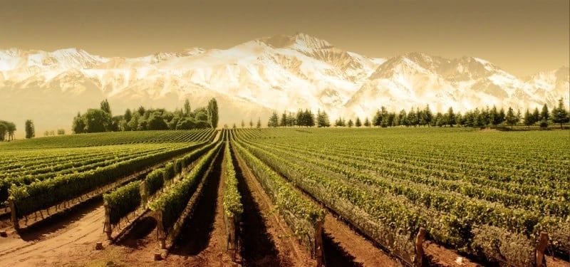 Bodega Los Haroldos. La familia Falasco conduce los destinos de este establecimiento que fue fundado en 1939.