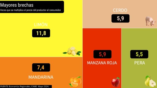 Estos son los productos que tuvieron mayores brechas en el precio que cobró el productor y el que pagó el consumidor en mayo. Fuente: CAME