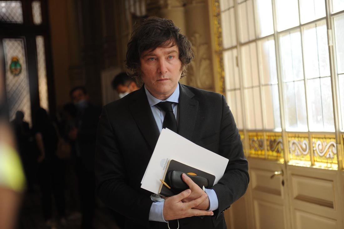 Javier Milei sorteará su sueldo como diputado nacional (Foto: Federico López Claro)
