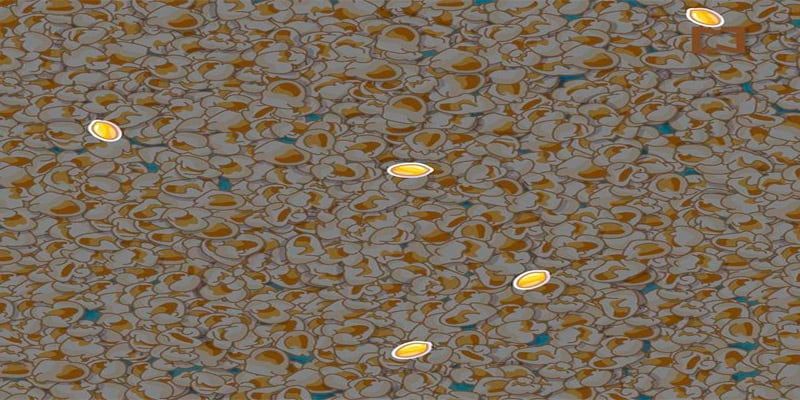 La solución al problema