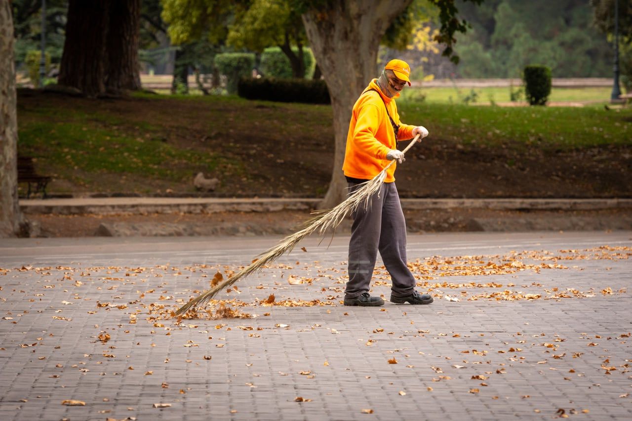 Parque General San Martín
Este inicio de semana de otoño en Mendoza estará frío, con poca nubosidad y bajas temperaturas.  

Foto: Ignacio Blanco / Los Andes 