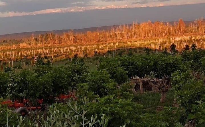 A futuro, el grupo de cuatro hermanos sueña con construir una pequeña posada para el turismo, junto al canal Tiburcio Benegas. “Queremos convertir nuestra finca en un lugar turístico, con la posibilidad de hacer un mini restaurante y un hospedaje", comentan.