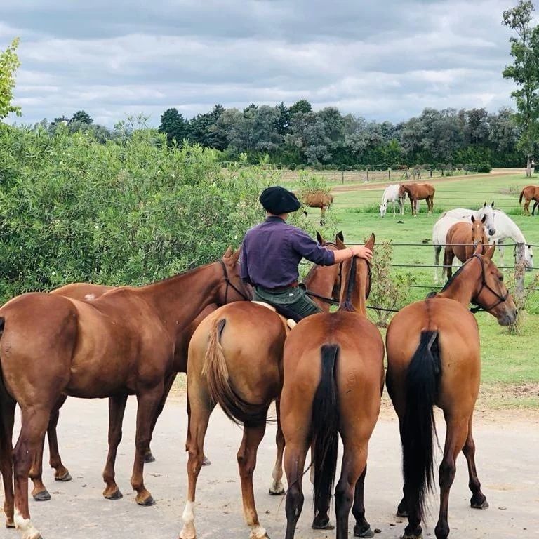 El jovencito nació en Corrientes y vive en un gran campo a cercanías de Olavarría.