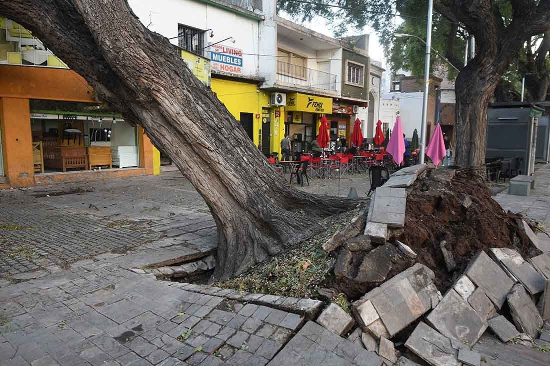 El Zonda reavivó una histórica pelea entre meteorólogos y autoridades. Foto: José Gutierrez/ Los Andes 