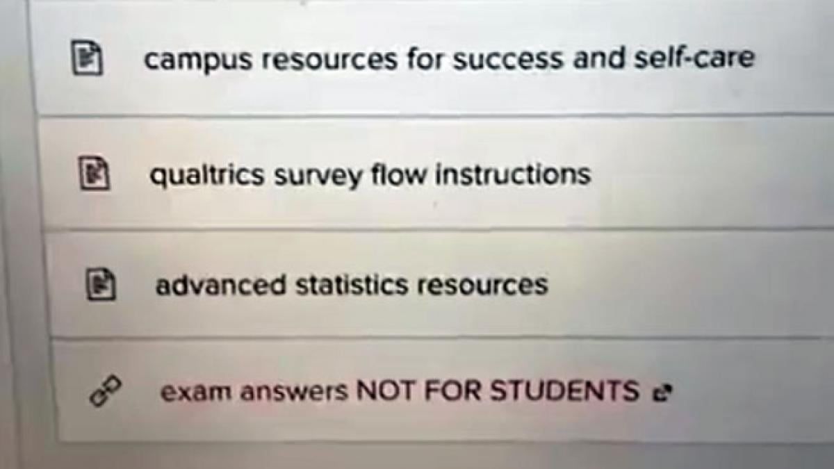 Los archivos que había en la carpeta