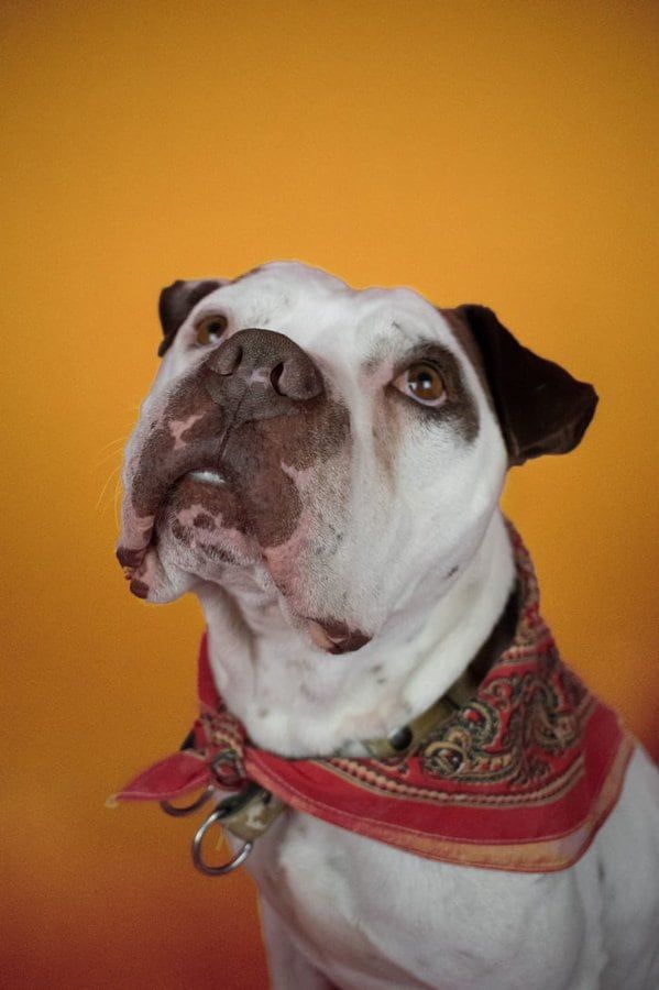 En increíble antes y después de Pua - Fotos @ariadnnasp