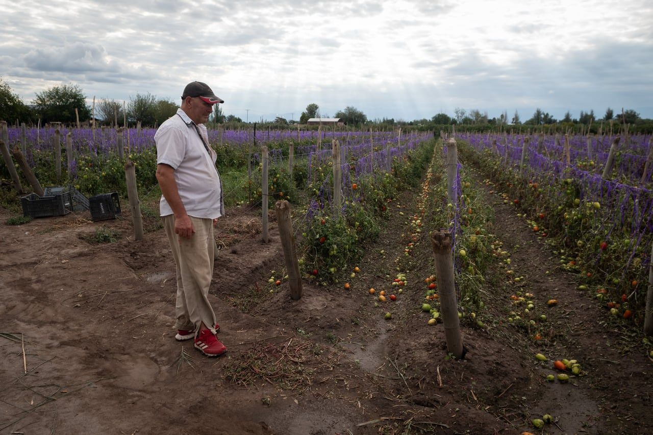 Una fuerte tormenta de lluvia y granizo afectó en horas de la tarde a distritos del Gran Mendoza. Algunas de las localidades más afectadas fueron Fray Luis Beltrán y Rodeo del Medio. Foto: Ignacio Blanco / Los Andes 
