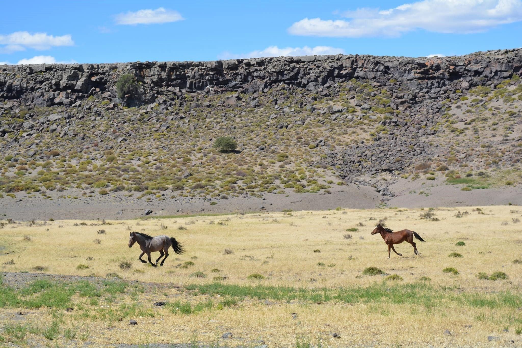 Imágenes de La Meseta de Somuncurá, Río Negro