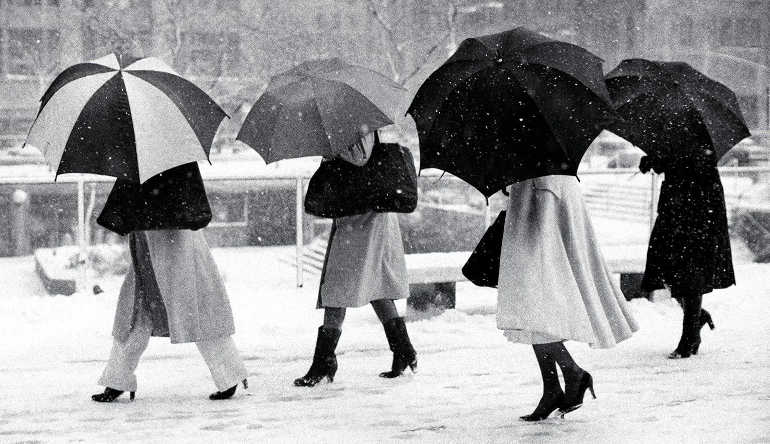 Bill Cunningham