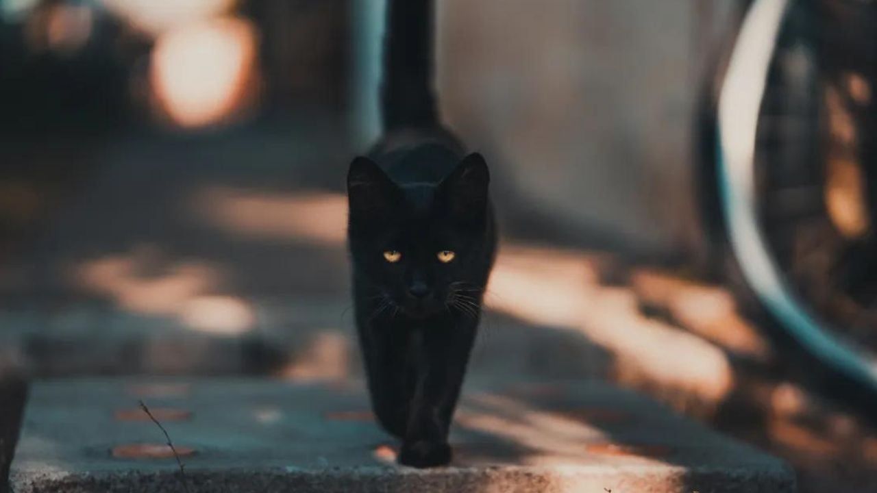 Lunes 3: cuál es el signo con más mala suerte hoy