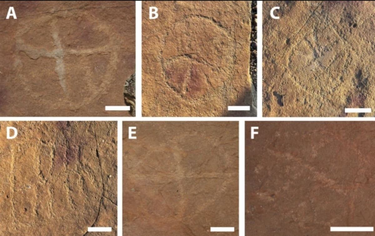 Fuente de la imagen: Scientific Reports