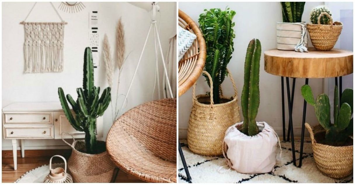 Con madera, en canastos de mimbre, son unas de las ideas que te doy.