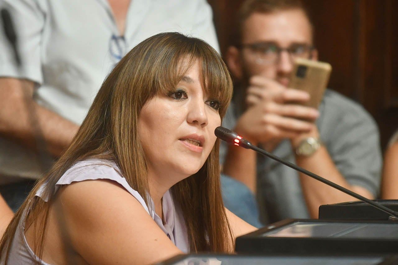 Sesión en la Cámara de Diputados de Mendoza donde se decidió suspender a Janina Ortiz de su cargo de Diputada,  por causas penales donde se la investiga por presunta corrupción cuando era funcionaria de Las Heras. Foto: José Gutierrez / Los Andes