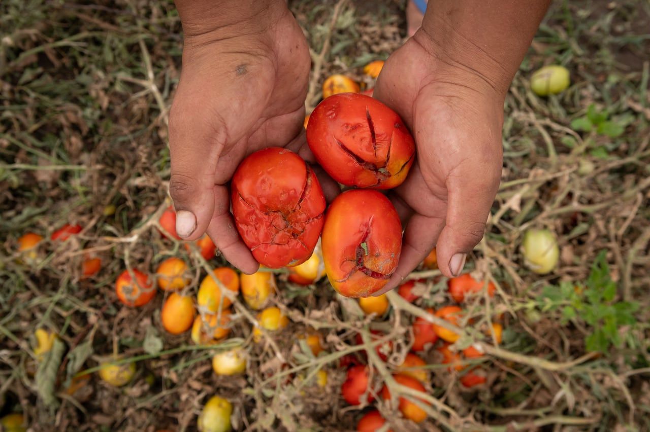 Una fuerte tormenta de lluvia y granizo afectó en horas de la tarde a distritos del Gran Mendoza. Algunas de las localidades más afectadas fueron Fray Luis Beltrán y Rodeo del Medio. | Foto: Ignacio Blanco / Los Andes 
