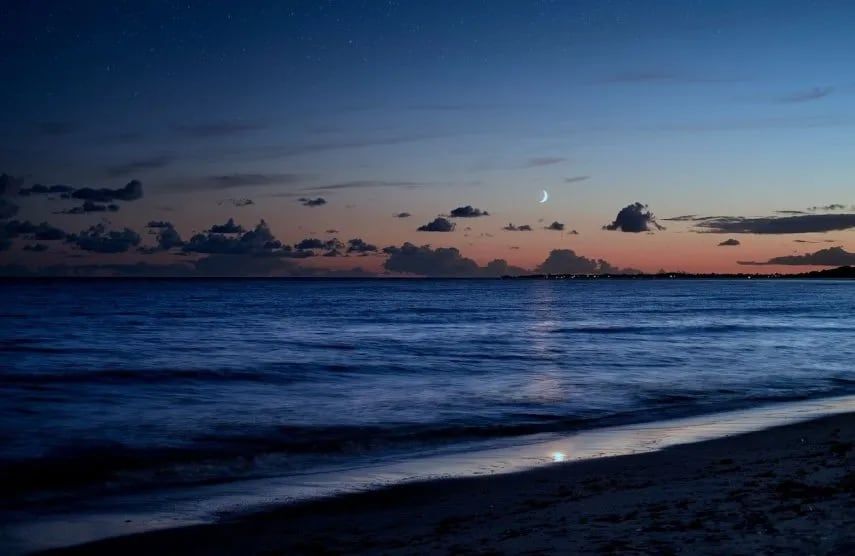 El hombre fue detenido. Se desconoce si tiene un abogado que comente sobre su situación judicial. Gentileza: Diario Las Américas.