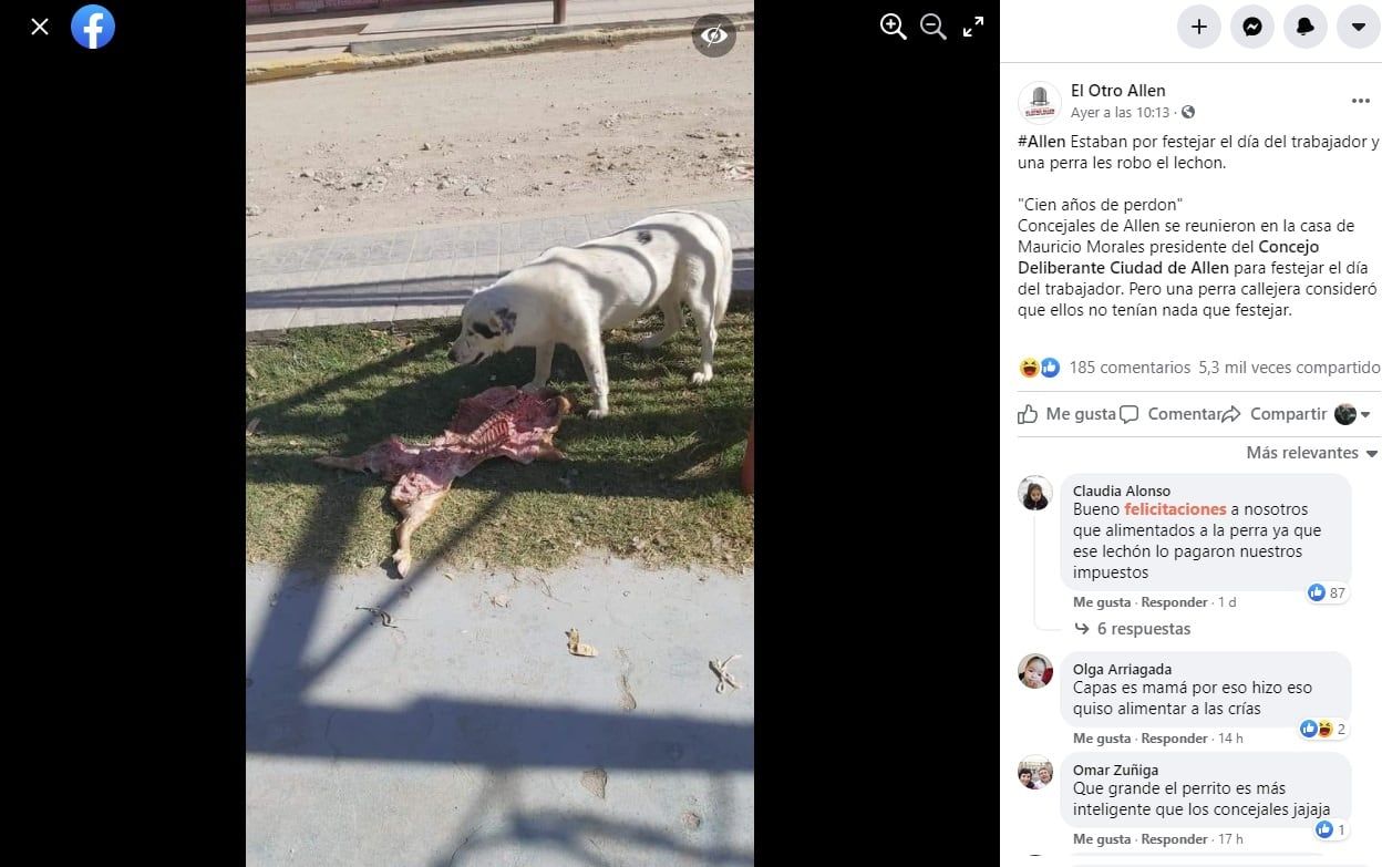 El episodio insólito se hizo popular en las redes sociales -