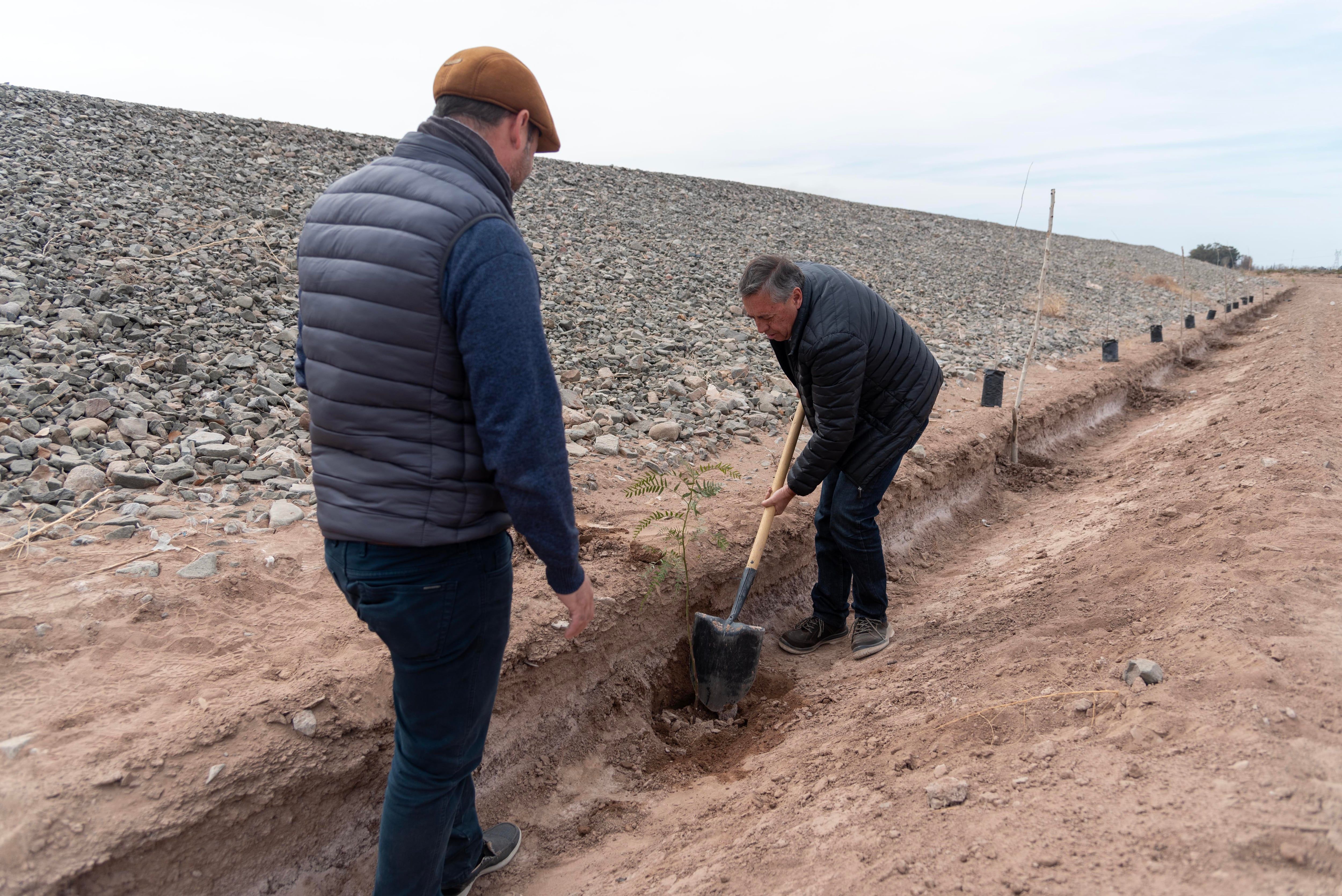 Reforestación: se plantarán 756 árboles en una obra que Irrigación inauguró en marzo