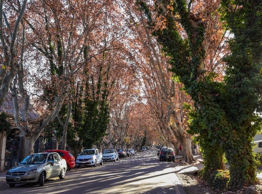 Chacras de Coria, Luján de Cuyo.