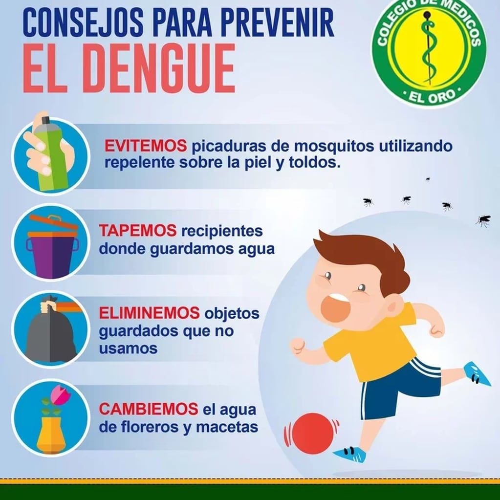 Todas estas acciones ayudan a prevenir el dengue. Gentileza: Infobae.