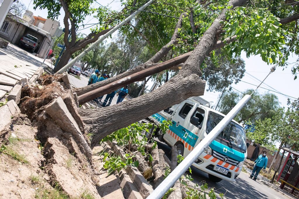 Alerta por Zonda para este viernes, con ráfagas de entre 80 y 100 km/h. Foto: Archivo Mendoza
