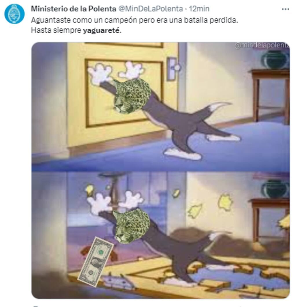 Los mejores memes, luego de que el dólar blue pasara los 500 pesos.